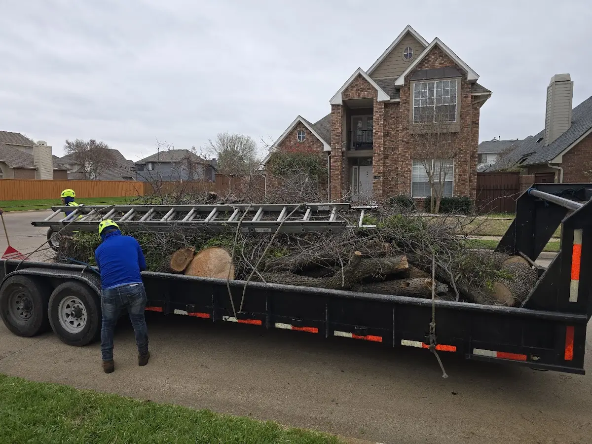 Expert Tree Pest Control with proper safety equipment in Dellwood